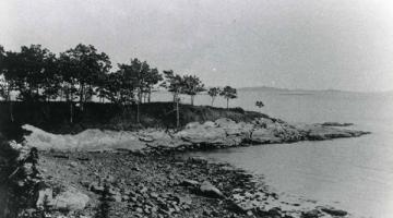 Flirtation Point in Pine Orchard, Oswin Robinson Photo