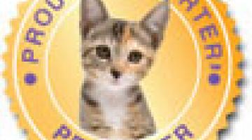 Adoption Town Of Branford Ct Adoption Town Of Branford Ct
