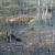 Why Protect Wetlands